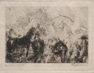 Marché aux chevaux à Alger, 1898
