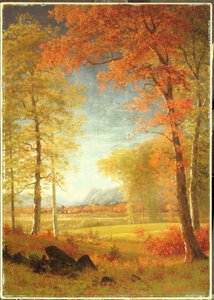 Automne en Amérique, comté d