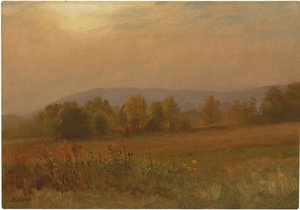 Paysage d