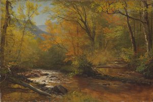 Ruisseau dans les bois - Albert Bierstadt