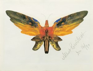 Papillon, 1890