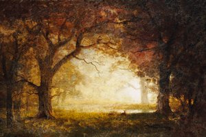 Lever de soleil en forêt - Albert Bierstadt