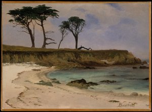 Sea Cove - Albert Bierstadt