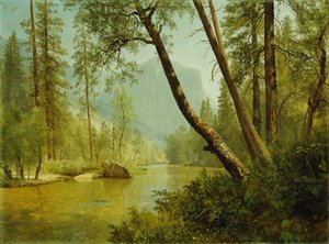 Forêt ensoleillée - Albert Bierstadt