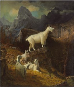 Image Inconnue - Albert Bierstadt