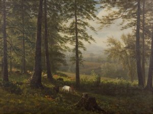 Vue sur une clairière - Albert Bierstadt