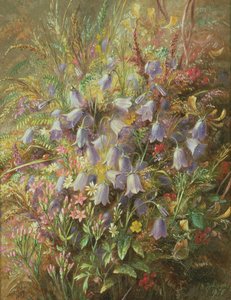 Campanules et autres fleurs et herbes des bois - Albert Durer Lucas