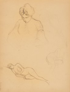 Projets du personnel - Albert Edelfelt