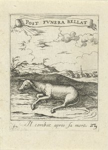Âne mort