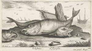 Trois églefins sur la plage - Albert Flamen