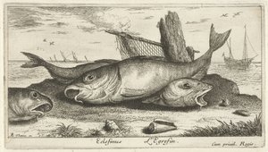 Trois églefins sur la plage (Poissons de mer) - Albert Flamen