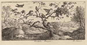 Ficedula, le bouvreuil - Albert Flamen