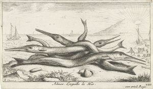 Poissons sur la plage - Albert Flamen