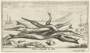 Poissons sur la plage - Albert Flamen
