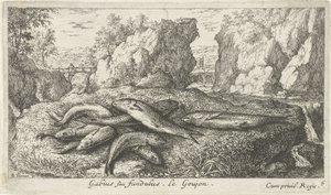 Goujons sur une rive (Poissons et autres animaux marins - eau douce deuxième série)