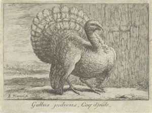 Paysage avec dinde - Albert Flamen