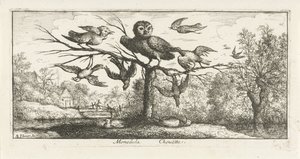 Paysage avec chouette entre autres oiseaux - Albert Flamen