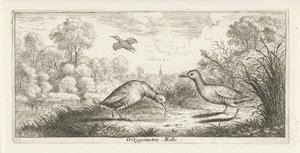 Paysage avec deux râles sur une rive - Albert Flamen