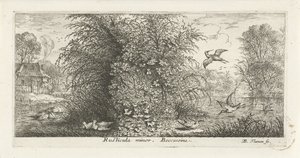 Paysage avec bécassine (Rusticula minor. beccassine., Vogelboek, Livre d
