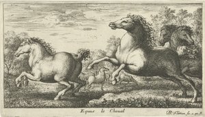 Chevaux (série Diverses espèces animales) - Albert Flamen