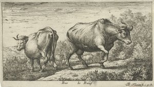 Taureaux - Albert Flamen