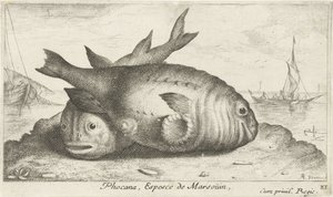 Deux marsouins sur la plage
Poissons de mer (série) - Albert Flamen