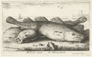 Deux morues sur la plage (Poissons de mer) - Albert Flamen