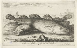 Deux morues sur la plage (Poissons de mer) - Albert Flamen