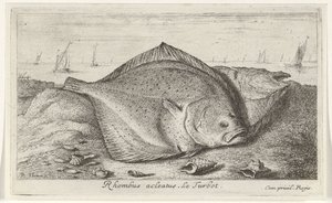 Deux turbots sur la plage