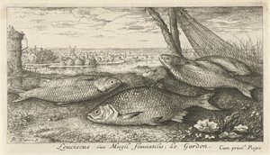 Quatre gardons près d