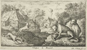 Renards (Vulpes le Renard) (Verschillende diersoorten) - Albert Flamen