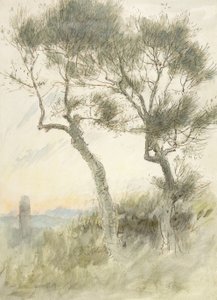 Étude de deux arbres