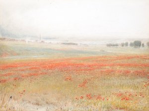 Les Ivraies. Coquelicots dans le blé. Salisbury - Albert Goodwin