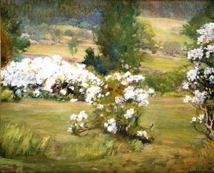 Fleurs Épanouies, c.1925