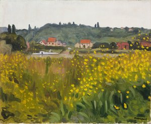 Fleurs Jaunes à Villenes