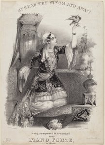 Déploie Tes Ailes et Envole-toi ! - Albert Newsam