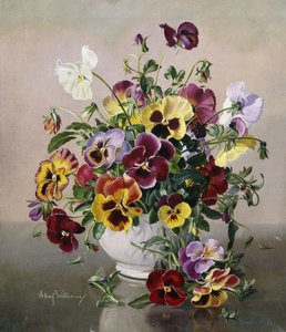 Nature morte avec des pensées - Albert Williams