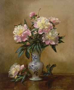 Pivoines dans un vase bleu et blanc - Albert Williams