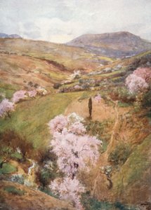 Jour de printemps dans une vallée près de Girgenti - Alberto Pisa