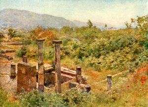 Vue de Pompéi - Alberto Pisa