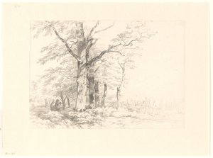 Étude de chênes dans un paysage