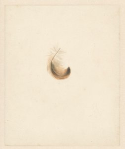 Étude d