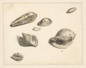 Feuille d