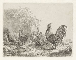 Coq avec cinq poules - Albertus Verhoesen