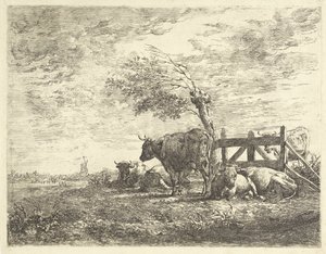 Vaches près d