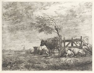 Vaches près d