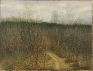 Taillis à Sint-Martens-Latem - Albijn Van den Abeele