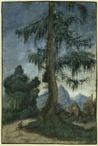  - Albrecht Altdorfer