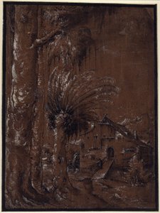 Paysage avec moulin à eau - Albrecht Altdorfer