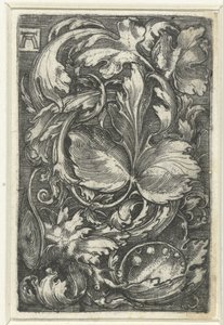 Ornement avec des rinceaux - Albrecht Altdorfer